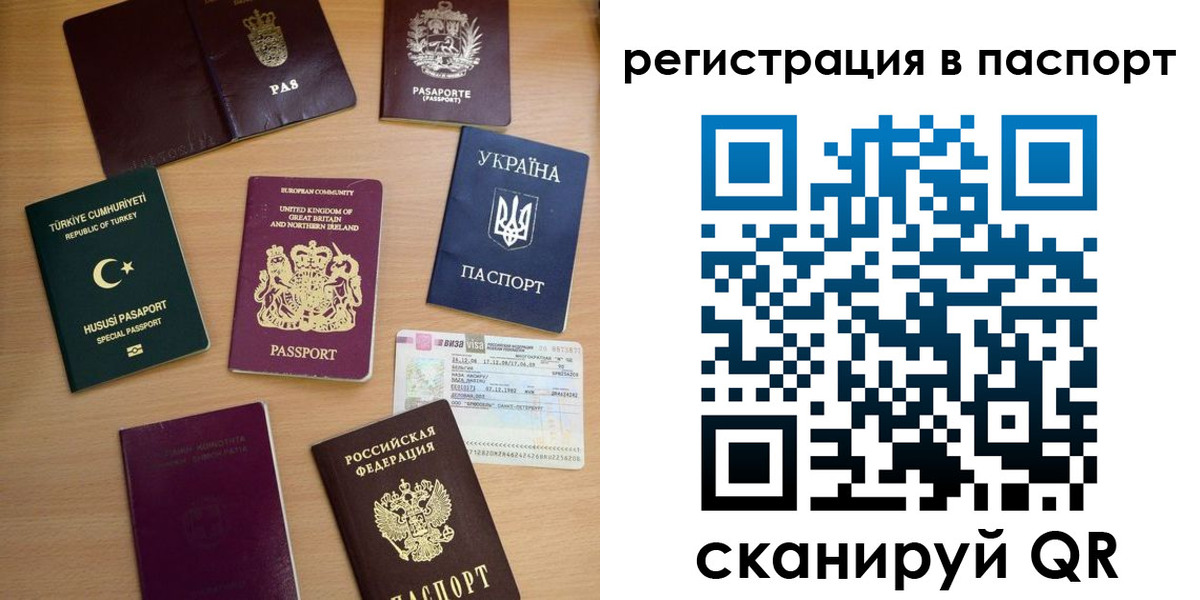 прописка поиск в Палласовке